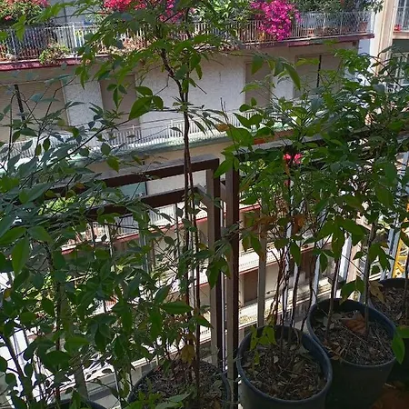 Апартаменты Gianna House *