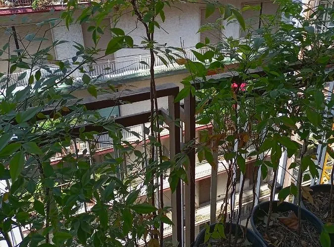 Апартаменты Gianna House *